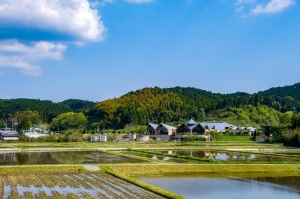 02_sanitized (1).jpg